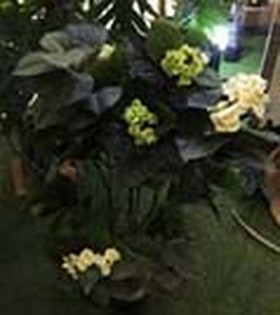 Искусственные растения Гортензия кремовая MK-7410-HW Темно-зеленый в Ленске - lensk.katalogmebeli.com | фото 2