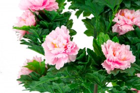 Искусственные растения Пион розовый MK-7411-HP Темно-зеленый в Ленске - lensk.katalogmebeli.com | фото 2