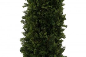 Искусственные растения Туя MK-7400-CT Темно-зеленый в Ленске - lensk.katalogmebeli.com | фото 2