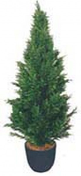 Искусственные растения Туя MK-7401-CT Темно-зеленый в Ленске - lensk.katalogmebeli.com | фото